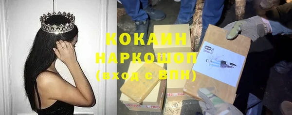 мет Алексин