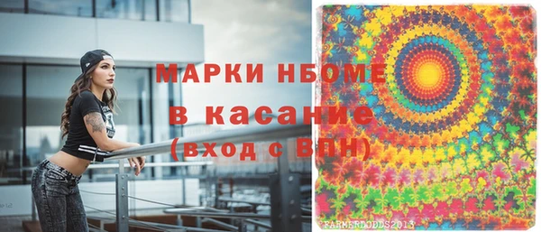 мет Алексин