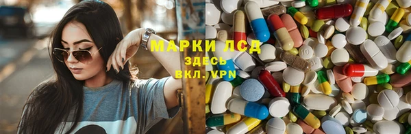 мяу мяу мука Алзамай