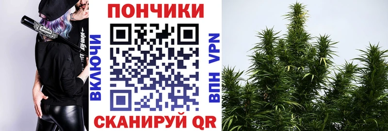где продают   Саров  МАРИХУАНА планчик 